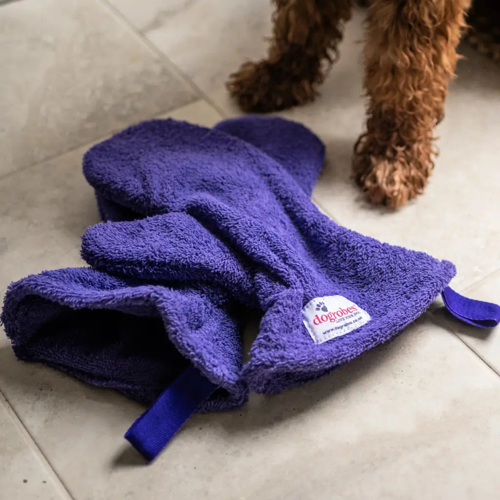 Close-up of Purple Dogrobes Dog Drying Gauntlets (mitts) to be used to dry a wet Cockapoo's legs and paws