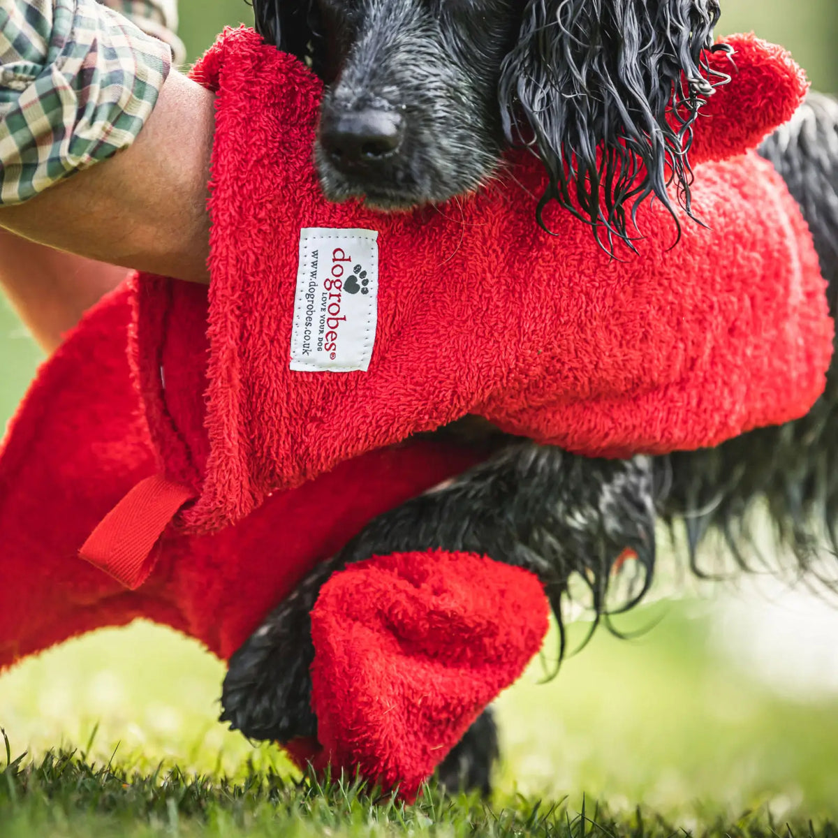 Close-up of Red Dogrobes Dog Drying Gauntlets (mitts) being used to dry a wet Cocker Spaniel’s legs and paws