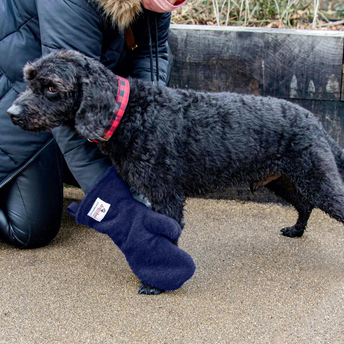 Person using Navy Dogrobes Dog Drying Gauntlets (mitts) to dry the front legs of a black Labradoodle