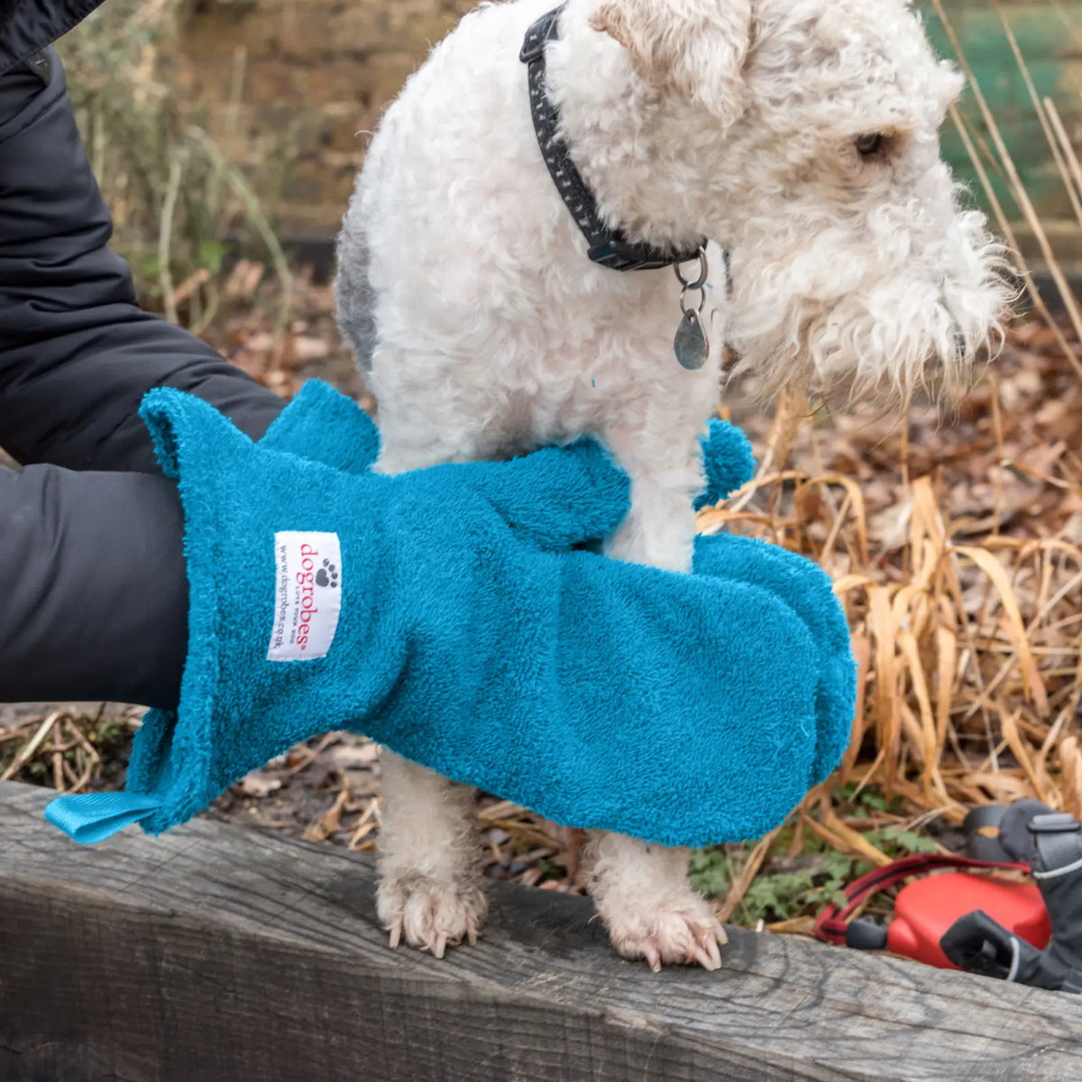 Person using Teal Dogrobes Dog Drying Gauntlets (mitts) to dry the front legs of a Lakeland Terrier