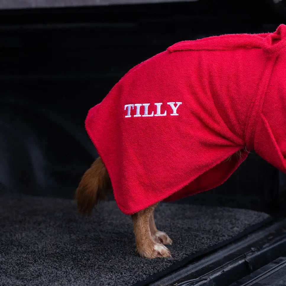 Cocker Spaniel wearing a red personalised Dogrobe MAX dog towel coat embroidered with Tilly inside a car boot