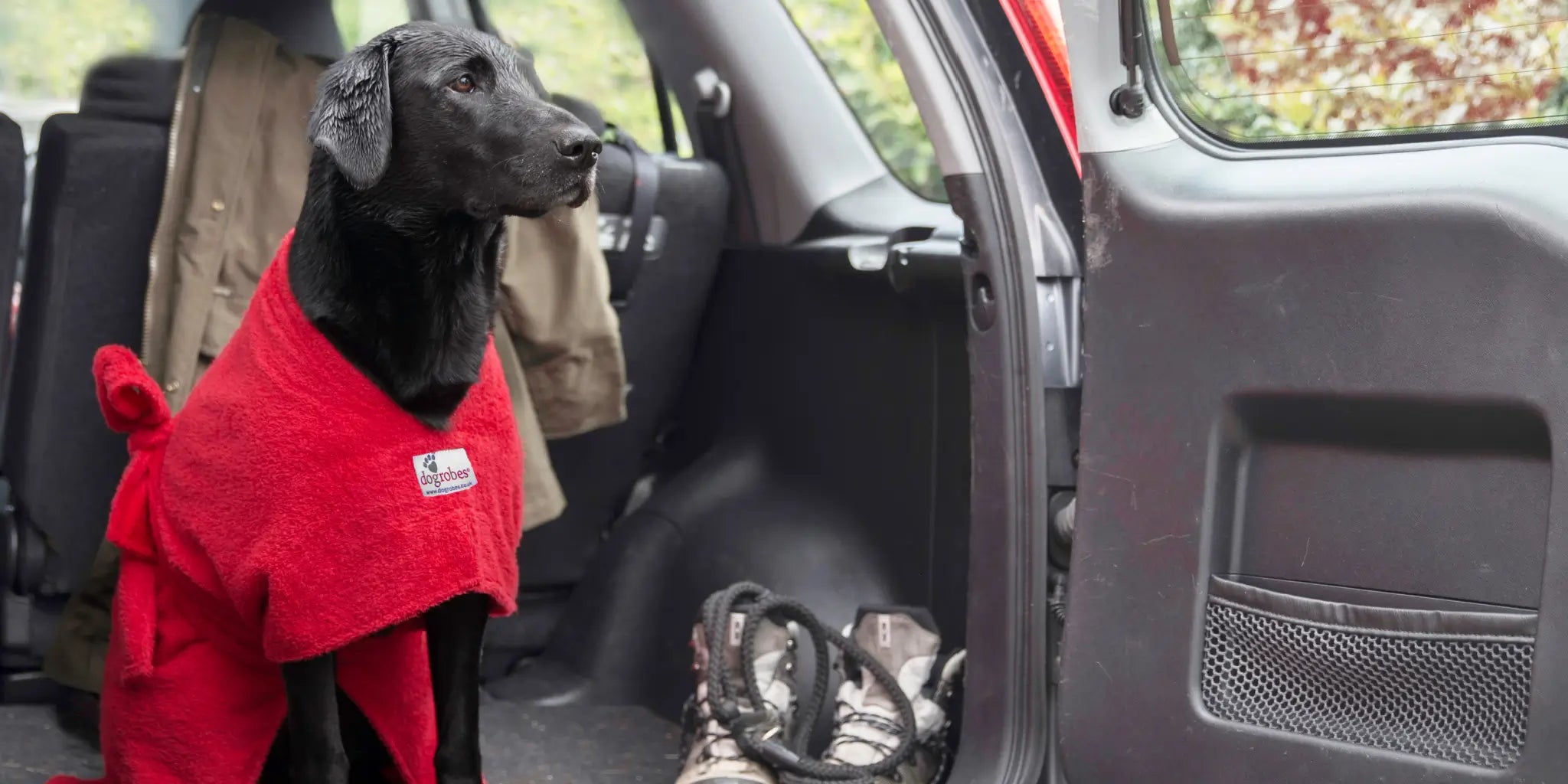 Black Labrador wearing a red Original Dogrobe in the car after a swim
