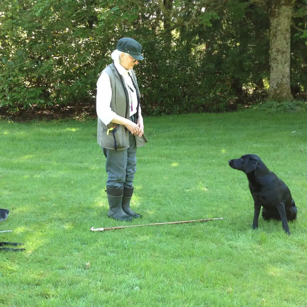 Ann Playle, working dog trainer and founder of Dogrobes, training one of her Labradors