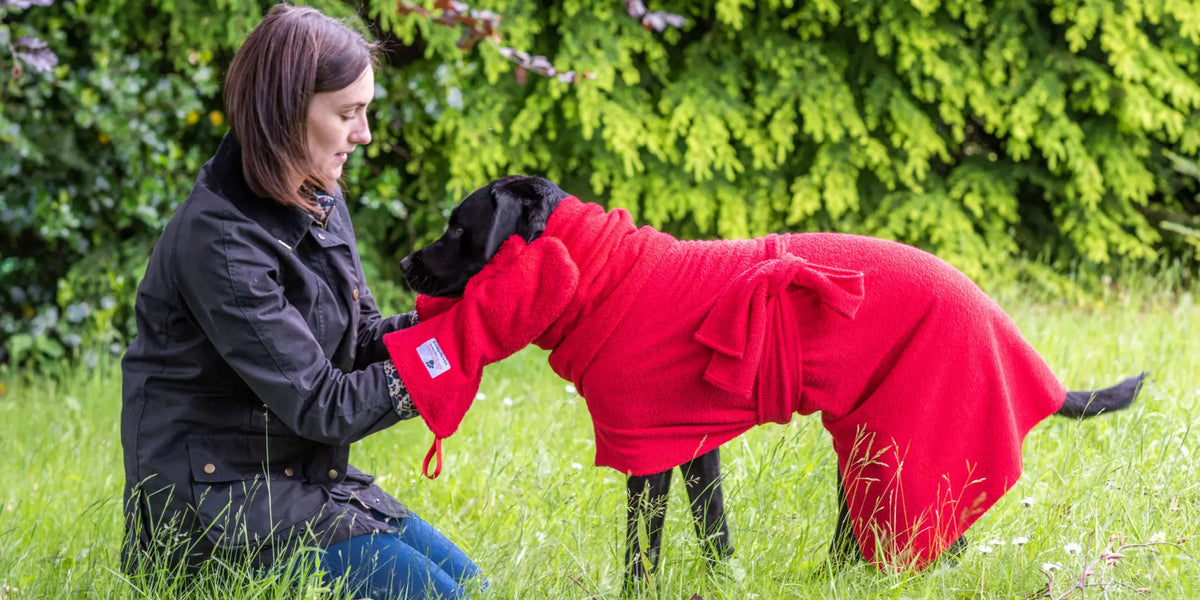 Owner drying dog with correctly fitted Dogrobe, Snood and Gauntlets