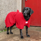 Black Labrador wearing a red Dogrobe MAX dog towelling coat outdoors