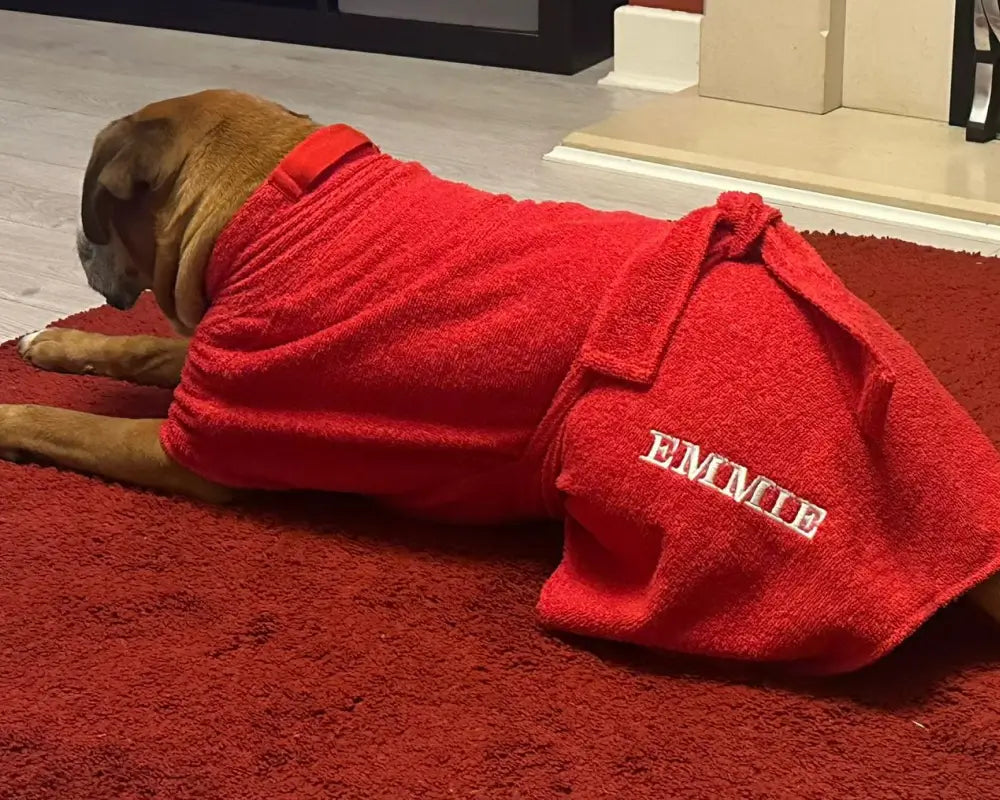 Boxer relaxing in a personalised red Dogrobe with the embroidered name Emmie