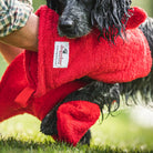 Close-up of Red Dogrobes Dog Drying Gauntlets (mitts) being used to dry a wet Cocker Spaniel’s legs and paws