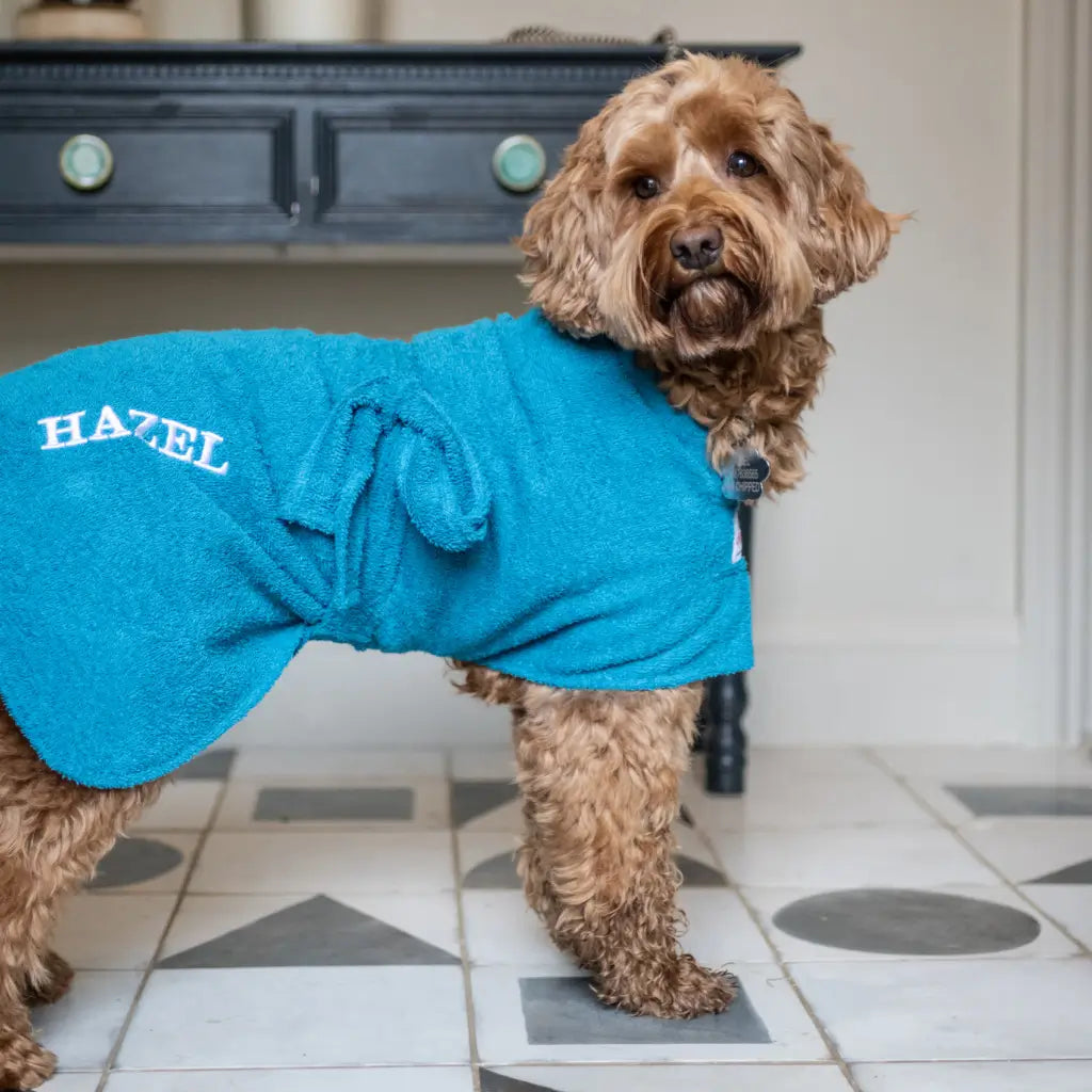 Cockapoo wearing a personalised teal dog  drying robe from Dogrobes embroidered with the name Hazel