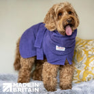Cockapoo wearing Dogrobes Purple Snood and Dogrobe standing on sofa, drying body, head, neck and ears