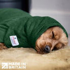 Cocker Spaniel asleep wearing Dogrobes Green Snood to calm and comfort against fireworks outside
