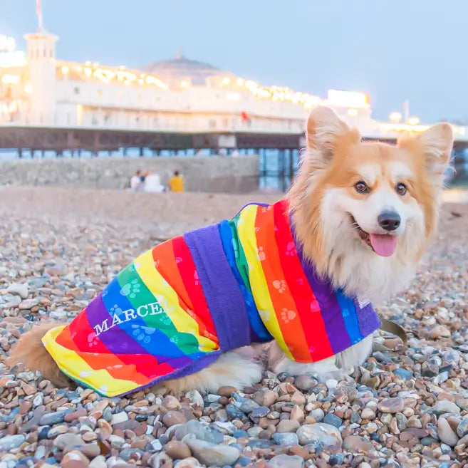 Corgi wearing personalised dog towel coat with rainbow pattern on beach at Brighton