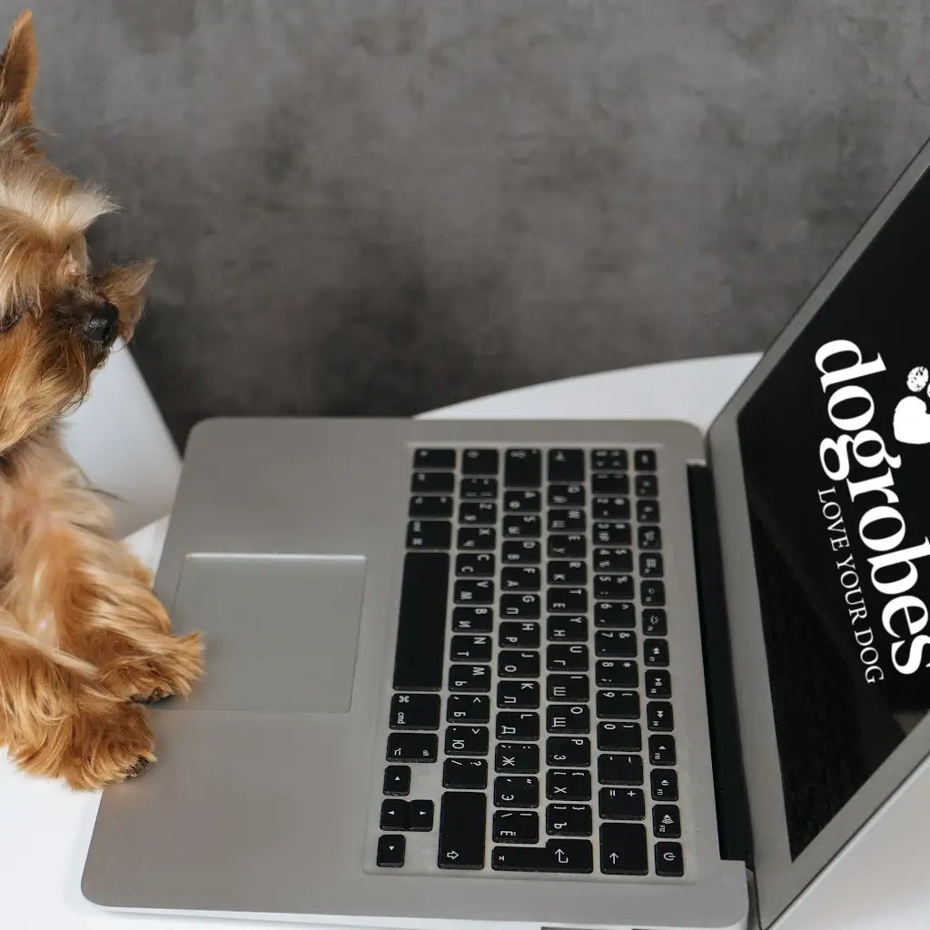 Yorkshire Terrier requesting a return on the Dogrobes website using a laptop