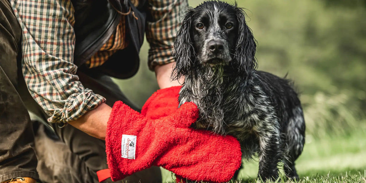 Dogrobes Gauntlets Size Guide showing Dogrobes Gauntlets drying a wet Cocker Spaniel