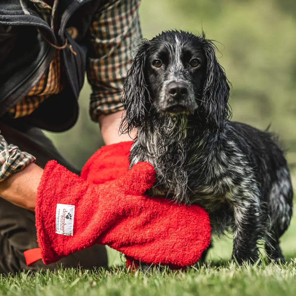 Dogrobes Gauntlets Size Guide showing Dogrobes Gauntlets drying a wet Cocker Spaniel