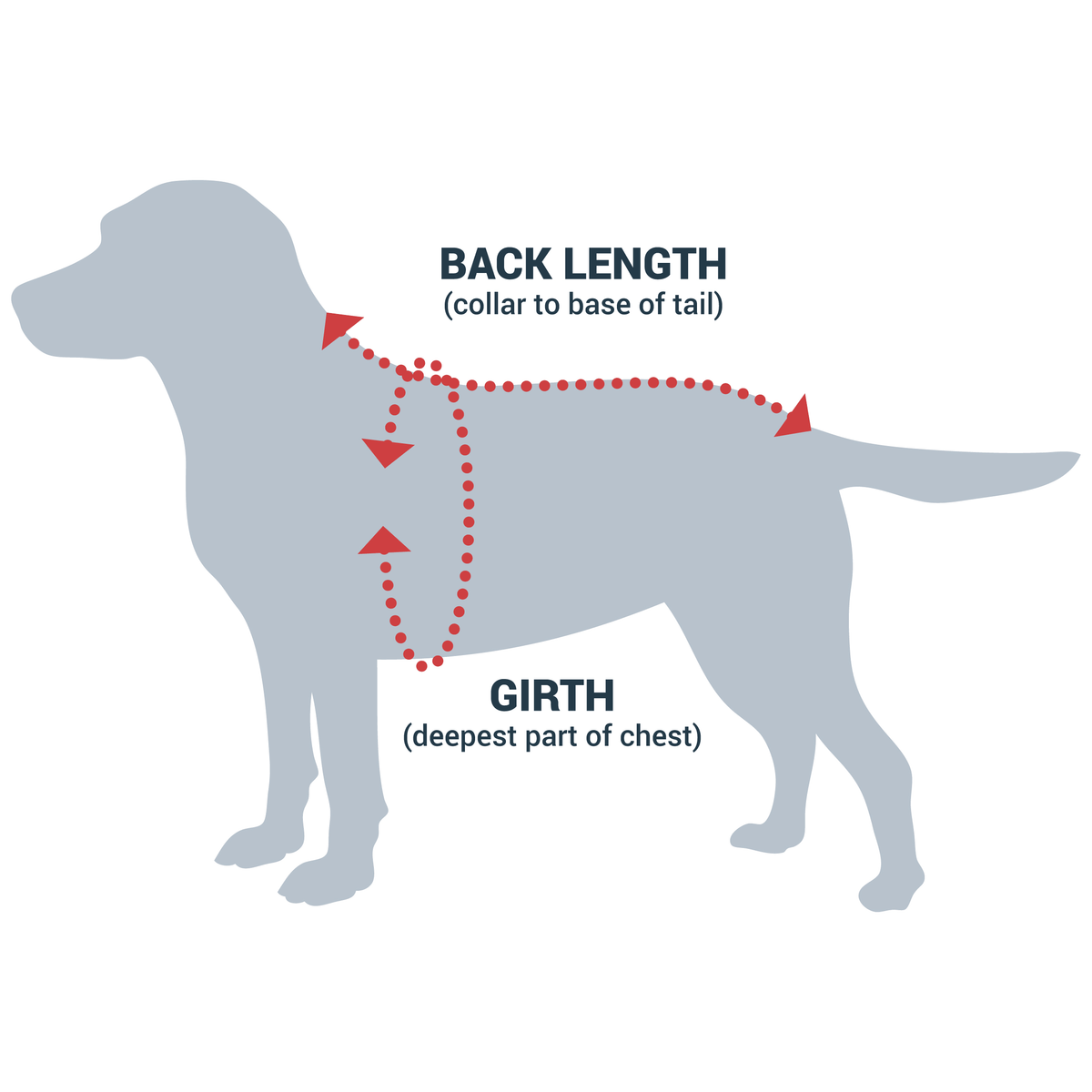 Diagram showing how to measure a dog's girth and back length for a Dogrobe