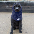 Black Labradoodle sitting outdoors wearing Dogrobes Navy Dog Snood to dry ears, head and neck