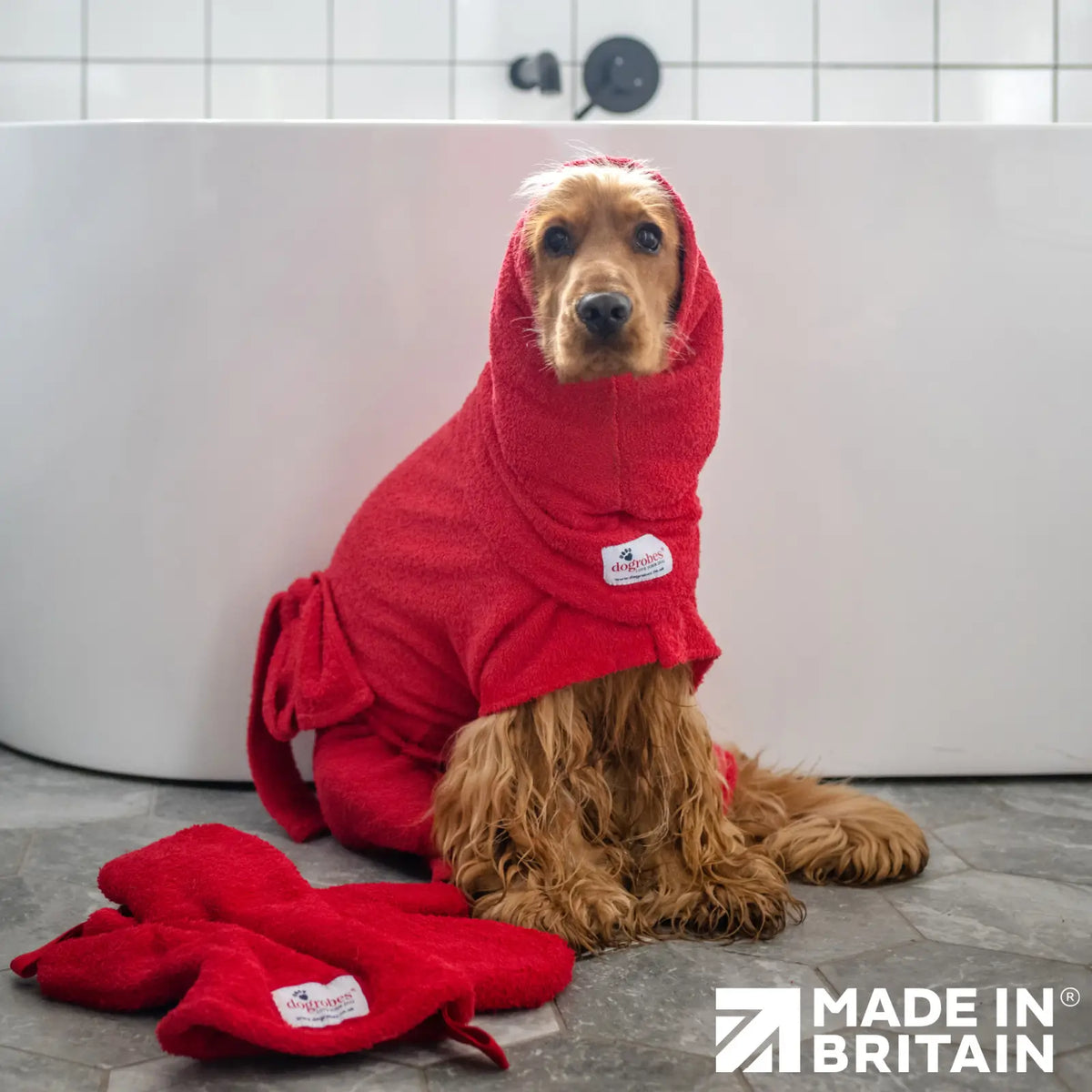Cocker Spaniel wearing Dogrobes Red Snood and Dogrobe with Gauntlets after bath time, the complete dog drying kit