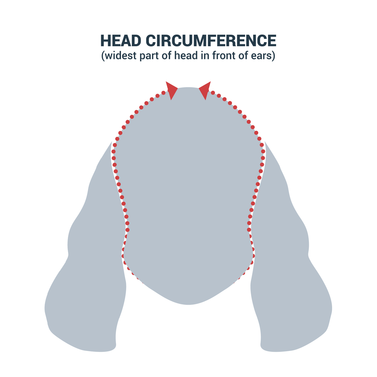 Diagram showing how to measure a dog's head circumference for Snood sizing