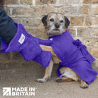 Woman using Purple Dogrobes Dog Drying Gauntlets (mitts) to dry a Border Terrier's paws while dog wearing purple Dogrobe 