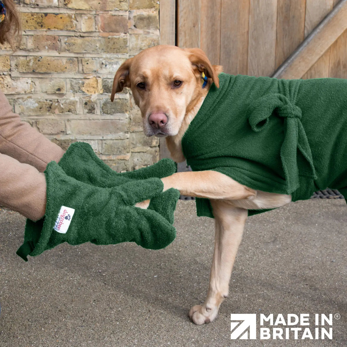 Person using Green Dogrobes Dog Drying Gauntlets (mitts) to dry a wet Labrador’s paws while dog is wearing Green Dogrobe