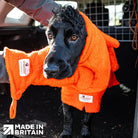 Person using Orange Dogrobes Gauntlets to dry a wet Cocker Spaniel's paws while dog wearing Orange Dogrobe and Snood