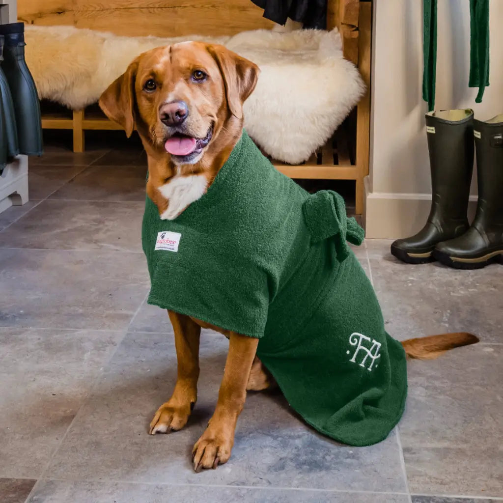 Fox red Labrador wearing a personalised green Original dog drying robe beside wellies