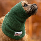 Dogrobes green dog snood on Border Terrier, drying head, neck and ears after a wet walk