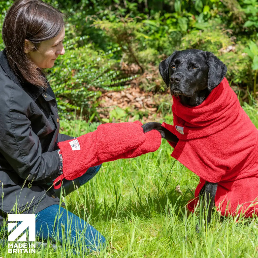 Wet black Labrador being dried with red dog drying mitts wearing red dog Snood and dog towelling robe made in Britain