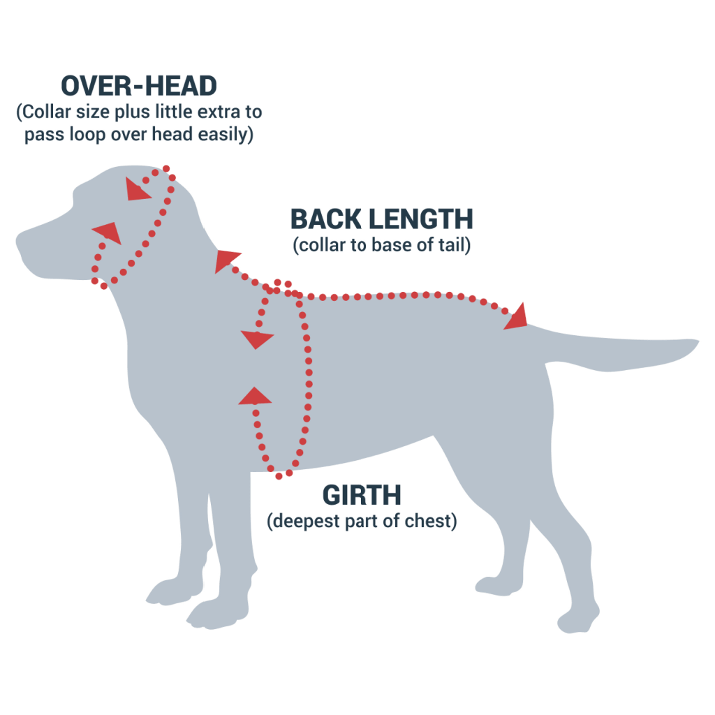 Diagram showing how to measure a dog for a Made To Measure Dogrobe, including girth, back length and over-head measurements