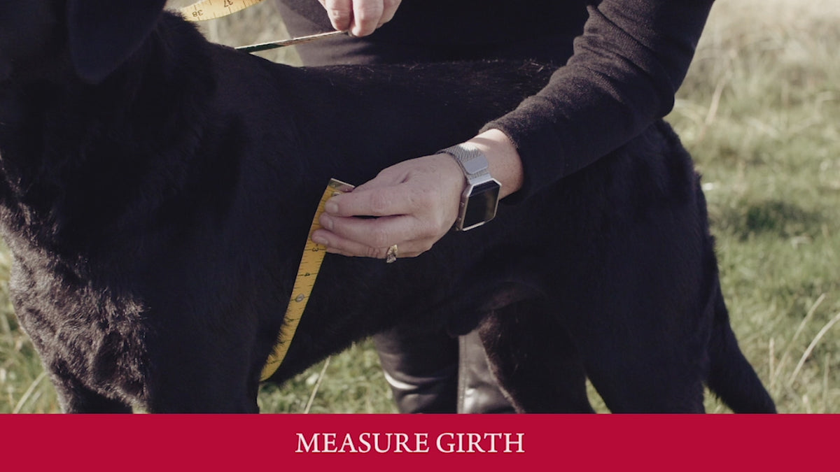 Learn how to measure your dog's girth and back length to choose the correct Dogrobe size