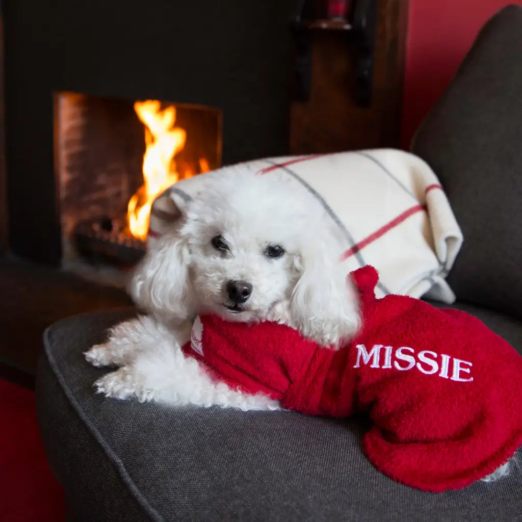 Toy Poodle resting by the fire in a personalised red Original Dogrobe
