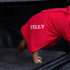 Cocker Spaniel wearing a red personalised Dogrobe MAX dog towel coat embroidered with Tilly inside a car boot