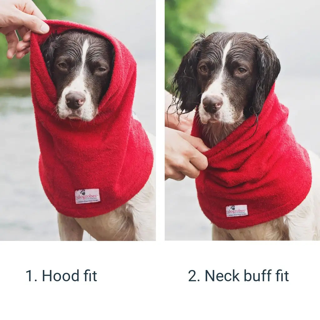 Springer Spaniel wearing a Dogrobes Snood as a hood fit and neck buff fit