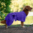 Nova Scotia Duck Tolling Retriever wearing a purple Dogrobe MAX dog drying coat beside a lake