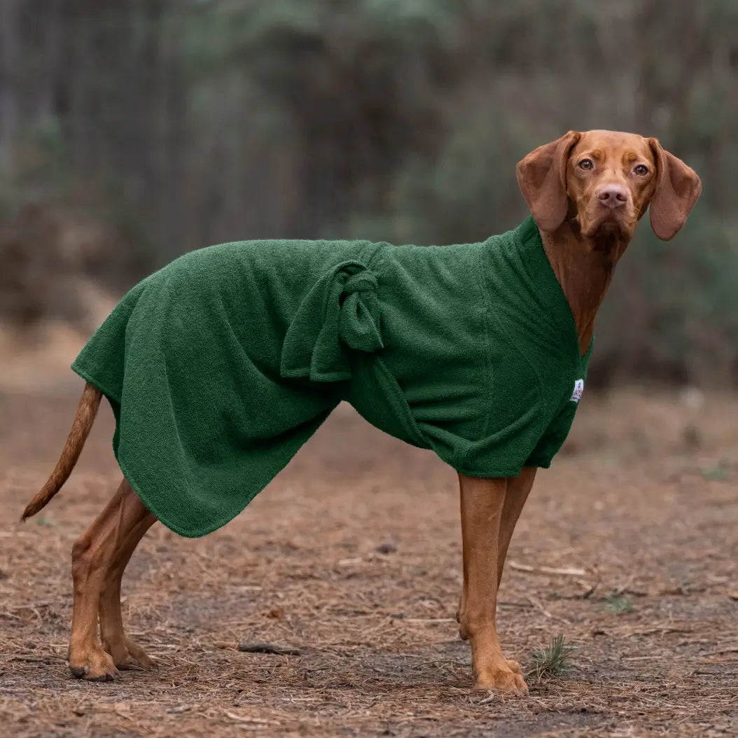 Vizsla wearing a green Dogrobe MAX dog dry robe, showing full body coverage in woodland