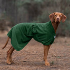 Vizsla wearing a green Dogrobe MAX dog dry robe, showing full body coverage in woodland
