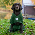 Wet Irish Water Spaniel wearing a green Original dog drying robe outdoors
