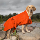 Yellow Labrador wearing an orange Dogrobe MAX dog drying robe beside a river