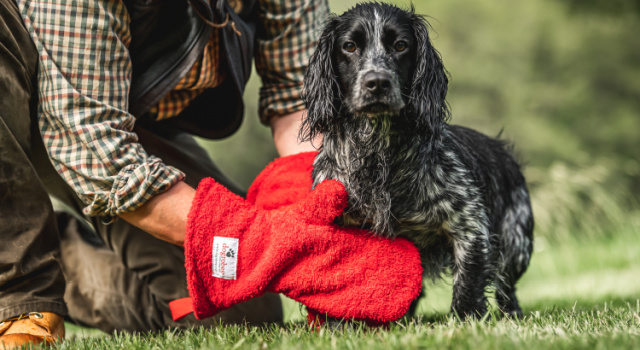 dog drying mitts