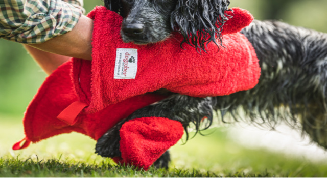 dog drying mitts