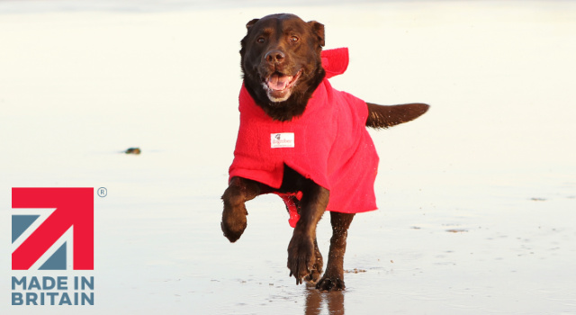 Indulge your dog in comfort and style Discover the finest British