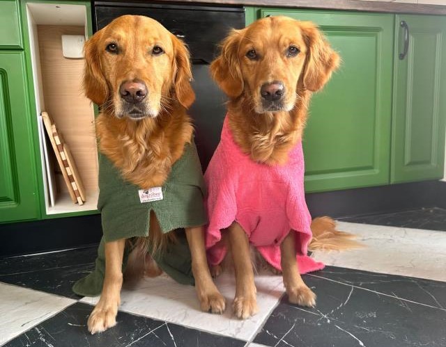 Frederick and Royston wearing the Green Original Dogrobe and Pink Dogrobe MAX