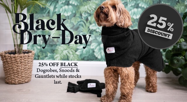 Apricot Cockapoo wearing black dog dressing gown and black dog snood. Black Dry-day offer of 25% Discount. 