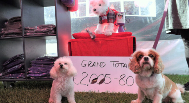 Missie from Dogrobes shows the final total of £2005.80 raised for the dog rescue charity All Dogs Matter