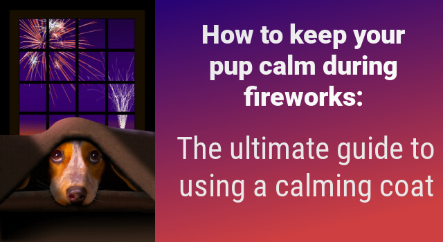 A dog hides under a blanket while fireworks go off in the background. The ultimate guide to using your Dogrobe as a calming coat.